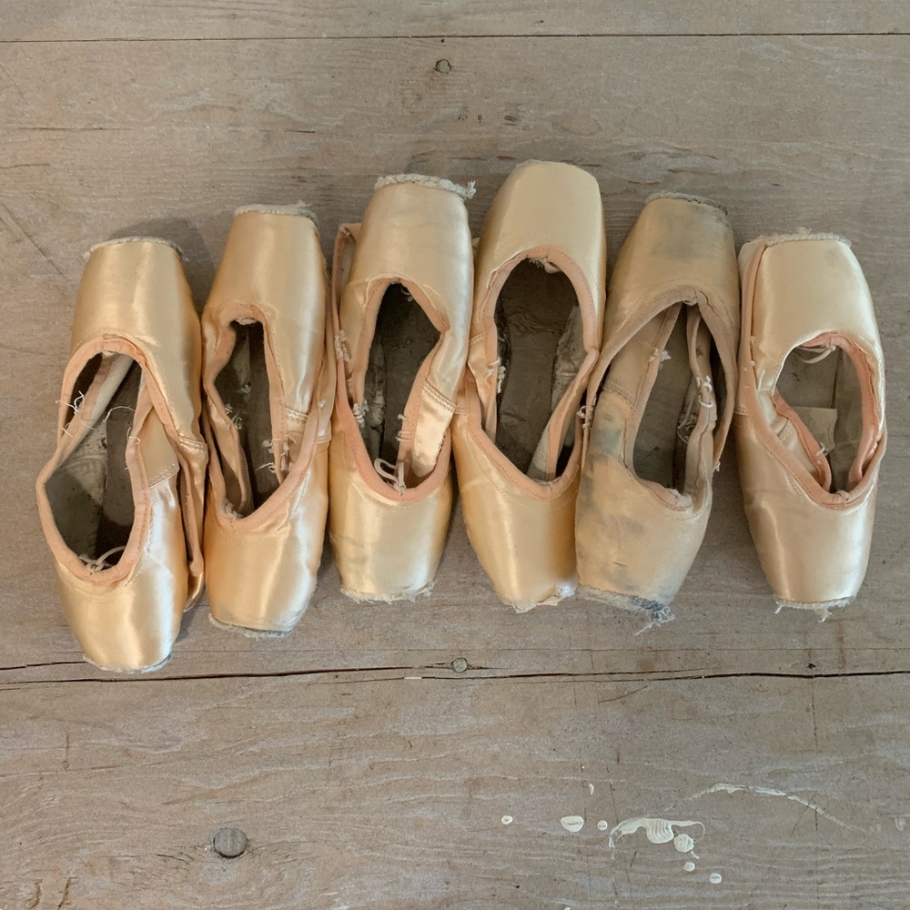 Freed of London Pointe shoes